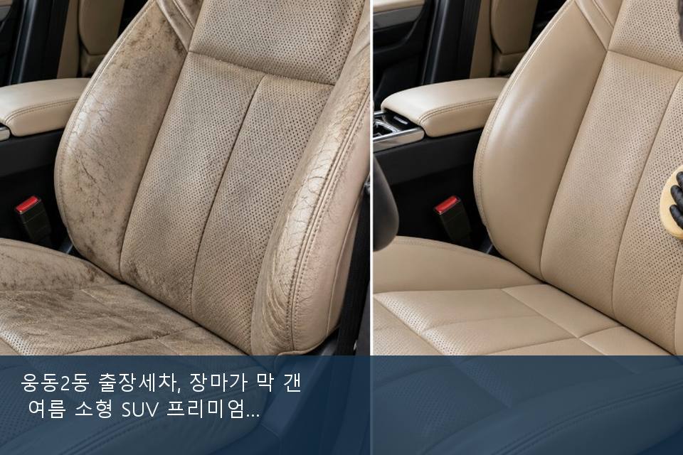 웅동2동 출장세차, 장마가 막 갠 여름 소형 SUV 프리미엄 · 실내 냄새를 연 기록